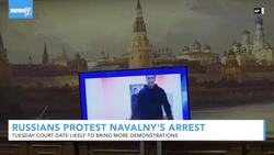 Thousands of Russians Protest Opposition Leader Navalny's Arrest News Clip