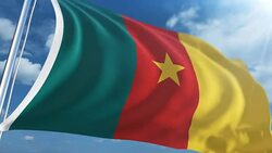 Flag of Cameroon | Loopable Stock Footage