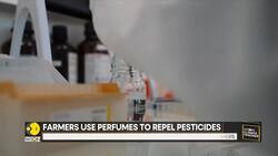 France: Beet farmers trade chemicals for scents News Clip