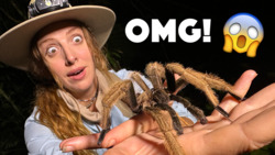 Will She Hold a Giant Spider? Instructional Video