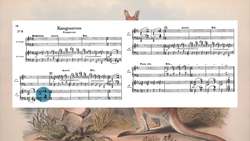 Listener's Guide To Carnival Of The Animals By Camille Saint-Säens - Movement 6 - Kangaroos Instructional Video