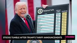 Stocks Tumble After Trump’s Tariff Announcements News Clip