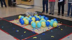Fastest Time to Pop 100 Balloons by a Dog Instructional Video