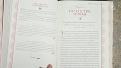 Dr. Bob Roberts, the professor behind America's ice cream mastery Instructional Video