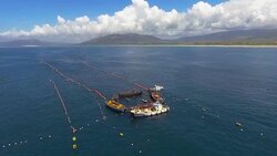 Tuna fishing, Almadraba, Tarifa, Costa de la Luz, Cadiz, Andalusia, Spain. Stock Footage