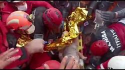 Toddler rescued from quake rubble after 4 days News Clip