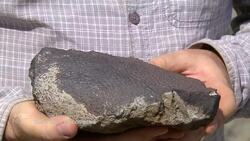 Rare dinosaur skin fossil discovered in Alberta News Clip