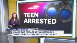 Teens charged with threatening 7-Eleven worker with knife in Bethpage News Clip