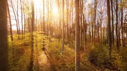 Exploring the Beauty of Spring Instructional Video