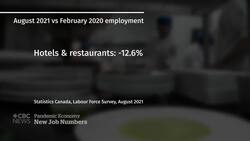 Ongoing economic recovery slowed by labour shortages News Clip