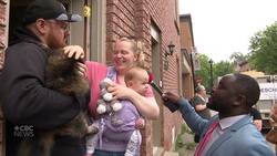 You can meet cats from different Montreal neighbourhoods on this walking tour News Clip