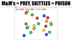 Candy Camouflage Scratch Game Instructional Video