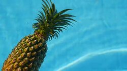 Pineapple Floating In blue Water In Swimming Pool. Healthy Raw Organic Food. Juicy Fruit. Vegetarian, Vegan Nutrition, Vitamins, Diet, summer holidays, vacation concepts. Exotic tropical background Stock Footage