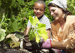 Organic farming Instructional Video