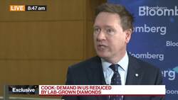 De Beers CEO Sees Signs of US Diamond Demand Recovery News Clip