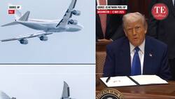 Donald Trump Fumes Over Qatari Jet Allegation in Live Reporter Showdown News Clip