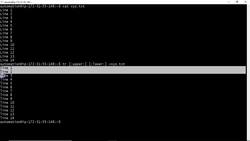 Bash Shell Scripting- tr command Instructional Video