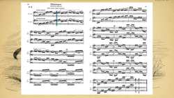 Listener's Guide To Carnival Of The Animals By Camille Saint-Säens - Movement 3 - Wild Donkeys and Swift Animals Instructional Video