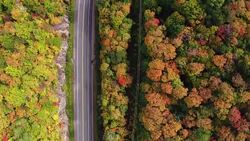 Aerial View Empty road leading trough beautiful colorful autumn forest in sunny fall Stock Footage