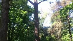 GCSE PE paper1 revision- respiratory system Instructional Video