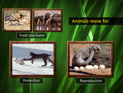 Movement in Invertebrates Instructional Video