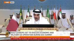 Qatari emir: ‘This is a genocide committed by Israel’ News Clip