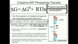Creatine Function (1/2): Biosynthesis, Thermodynamic Concerns, and Exercise Instructional Video