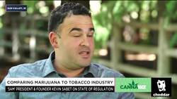 Marijuana Opponent Kevin Sabet Compares the Weed Industry to Tobacco News Clip