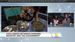 Despite Wider Acceptance, Marijuana Still Taboo for Banks News Clip