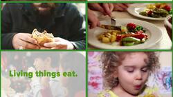 Living vs. Nonliving: Part 1 Instructional Video