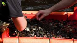 PREHISTORIC TREASURE FOUND?! Instructional Video