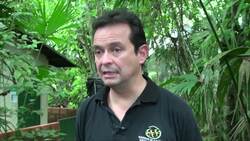 Colombian breeds rare frogs to undermine animal traffickers Instructional Video