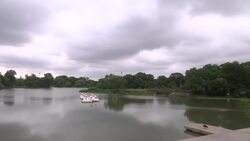 Fla. expert captures alligator at Chicago lagoon Instructional Video