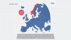 Organic fish farms: Which EU countries are at the forefront? News Clip
