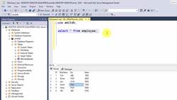 SQL Server Course for Beginners with 100+ examples - LIKE Operator Instructional Video