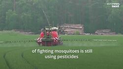 Swedish scientists have developed synthetic 'blood' to attract and kill malaria-carrying mosquitoes News Clip