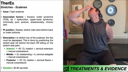 TherEx | Scalene Stretches [for Anterior, Middle, & Posterior Scalenes] Instructional Video