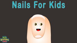 Nail Anatomy Instructional Video