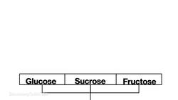 How Sugar Became the Enemy News Clip