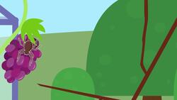 How Does it Work? - Spider's Web Instructional Video