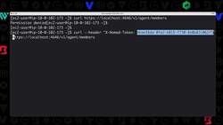 Getting Started with HashiCorp Nomad - Demo - Using the Nomad API Instructional Video