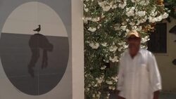 CLEAN : Open-air gallery brings street art to Tunisian town News Clip