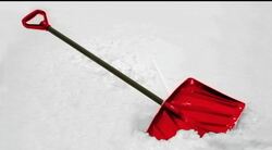 True Stories Instructional Video