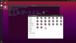 Practical Linux Command Line 2.0 - Linux File System Overview Instructional Video