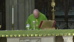 CLEAN : Parishioners celebrate first Mass since March at St. Patrick's Cathedral in New York News Clip