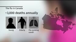 Pneumonia among most dangerous flu complications News Clip