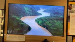 Exhibit commemorates 50 years of Cambodian, Laotian, and Vietnamese presence in Montreal News Clip