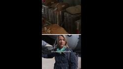 CBC News goes along on an aid airdrop mission over Gaza News Clip