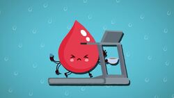 I WONDER - What Job Does Blood Do? Instructional Video