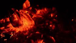 The Fastest Way to Cool Coffee? Instructional Video